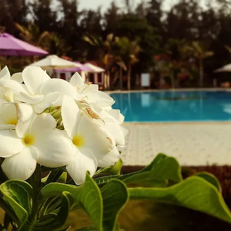 Saint Mary Resort